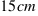 15 cm