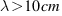 lambda>10 cm