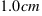 1.0 cm