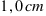 1,0 cm